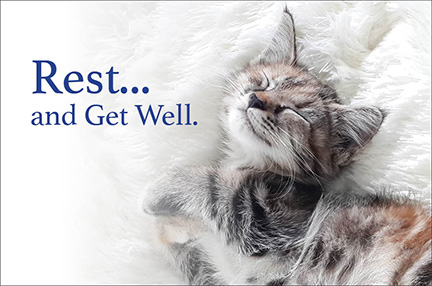 Rest and Get Well